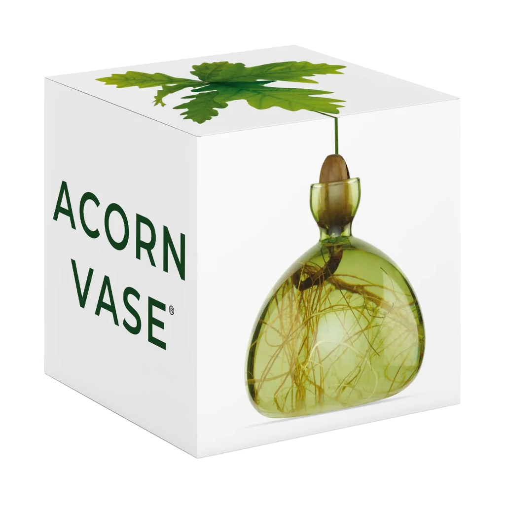Acorn vase with green leaves on a white background