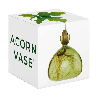 Acorn vase with green leaves on a white background
