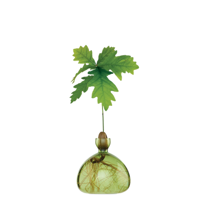 Decorative glass vase with green leaves on a white background