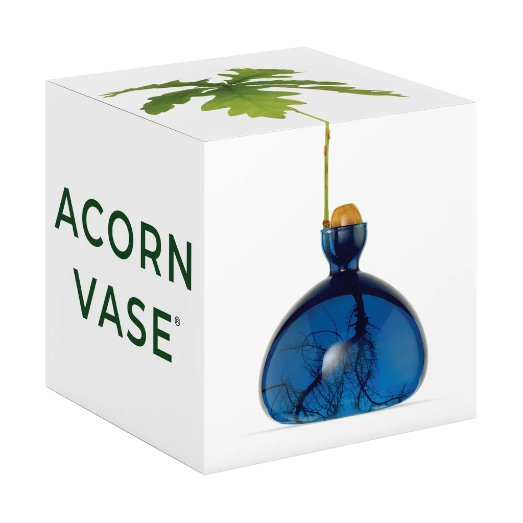 Blue vase with a plant design in a white box labeled 'Acorn Vase'.