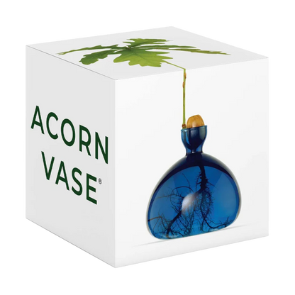 Blue vase with a plant design in a white box labeled 'Acorn Vase'.