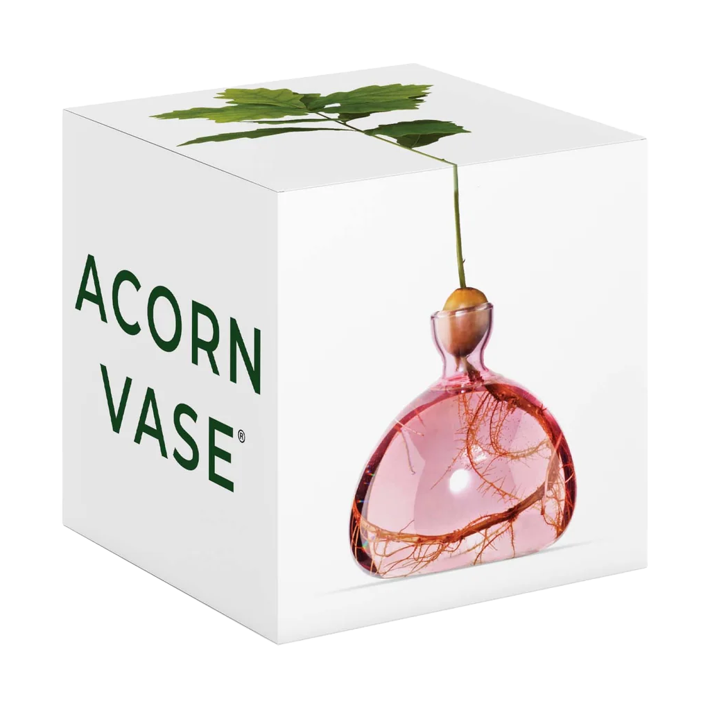 Acorn vase packaging with a pink glass vase inside on a white background