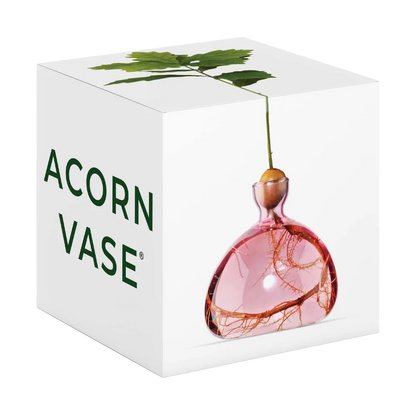 Acorn vase packaging with a pink glass vase inside on a white background