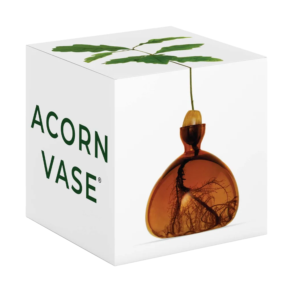 Acorn vase packaging with a white box and green leaves on top, featuring the brand 'Acorn Vase'.