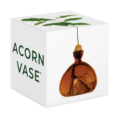 Acorn vase packaging with a white box and green leaves on top, featuring the brand 'Acorn Vase'.