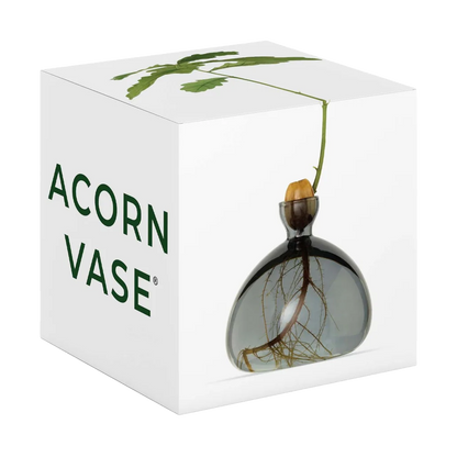 Acorn vase in packaging with visible brand name on a white background