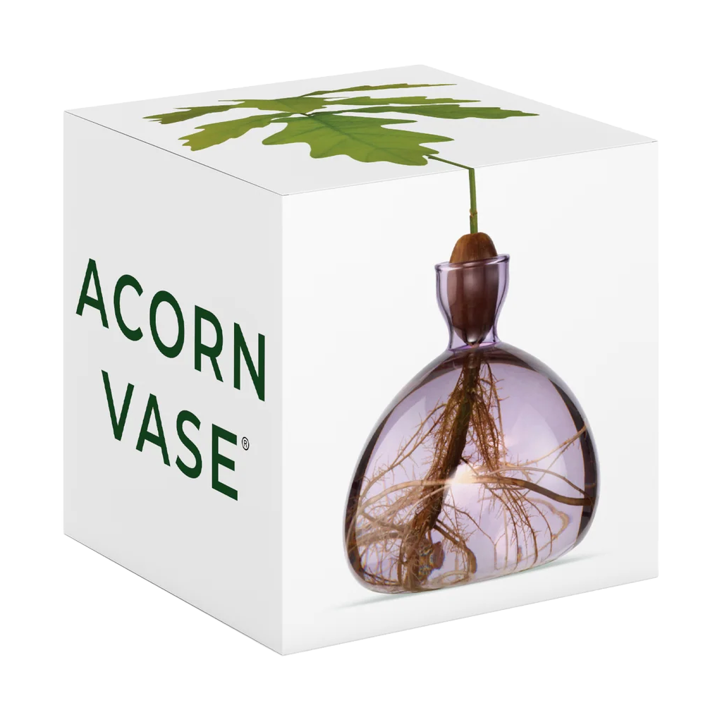 Acorn vase in packaging with 'Acorn Vase' branding on a white background