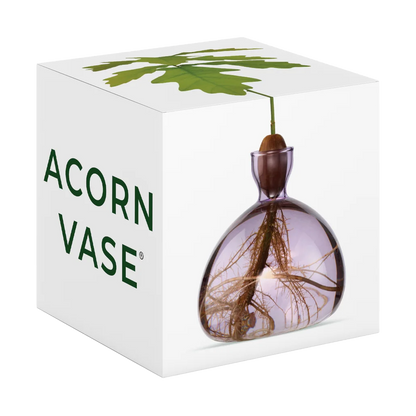 Acorn vase in packaging with 'Acorn Vase' branding on a white background