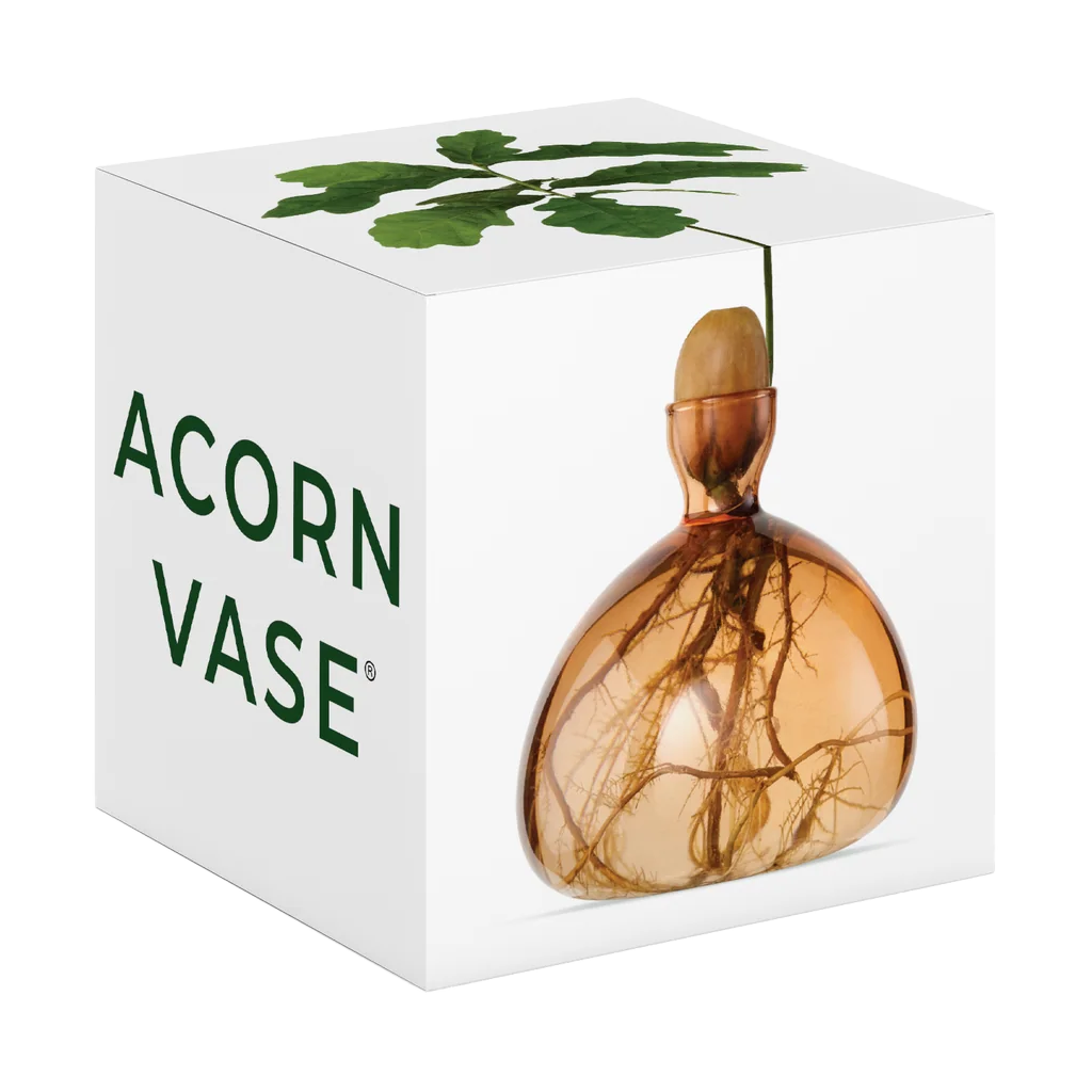 Acorn vase with a white box packaging on a white background
