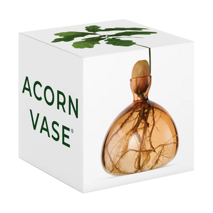 Acorn vase with a white box packaging on a white background