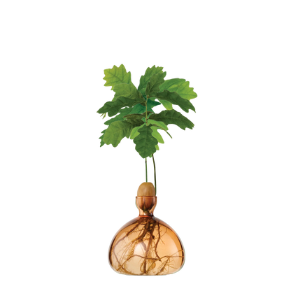 Decorative glass vase with a plant on a white background