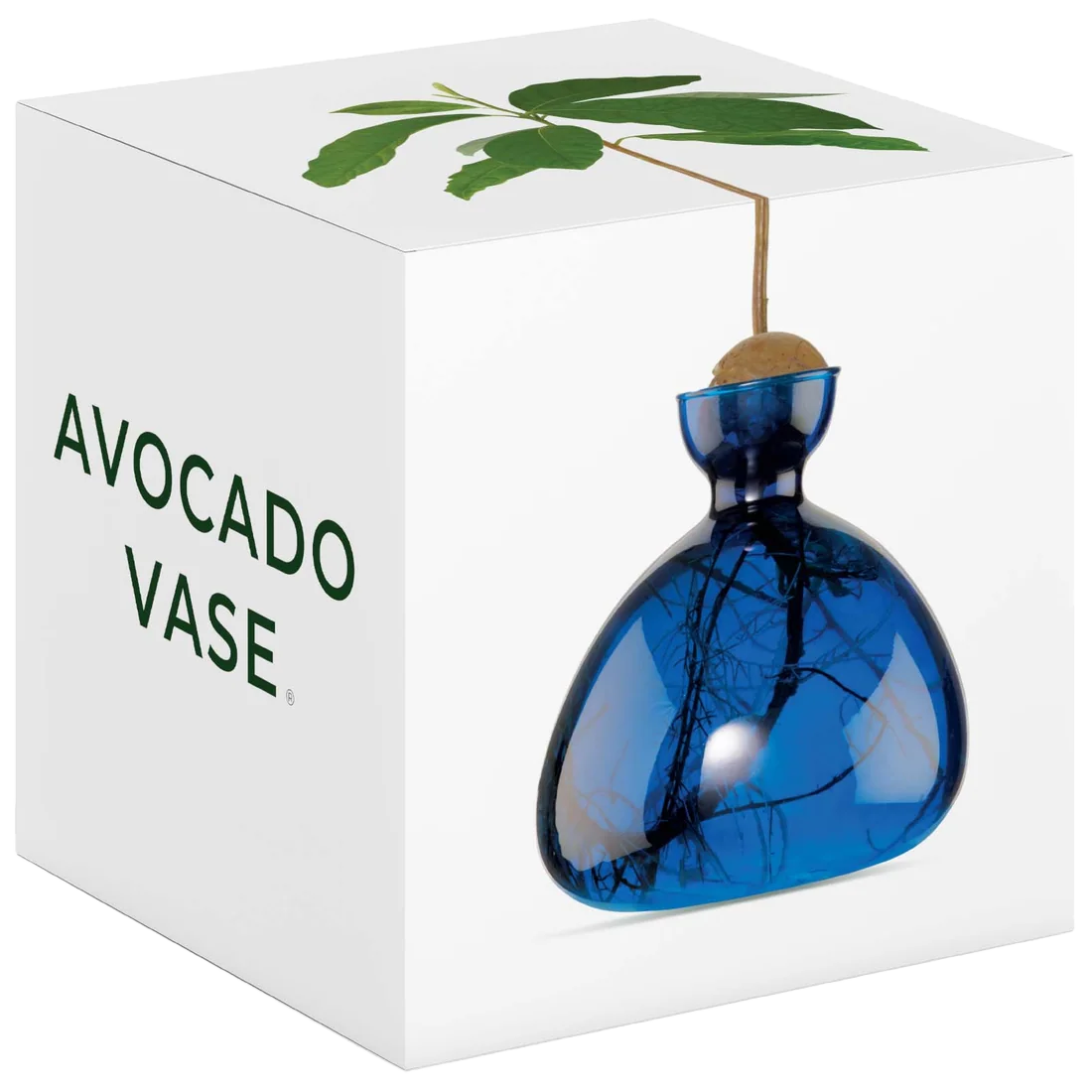 Blue avocado-shaped vase with a plant on a white box labeled 'Avocado Vase'.