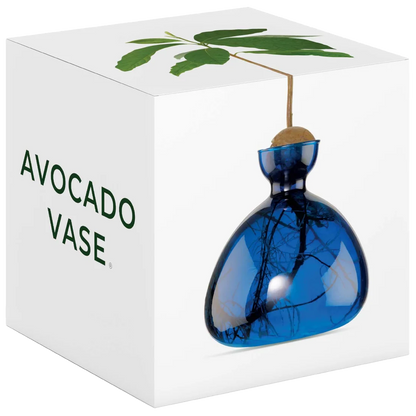 Blue avocado-shaped vase with a plant on a white box labeled 'Avocado Vase'.