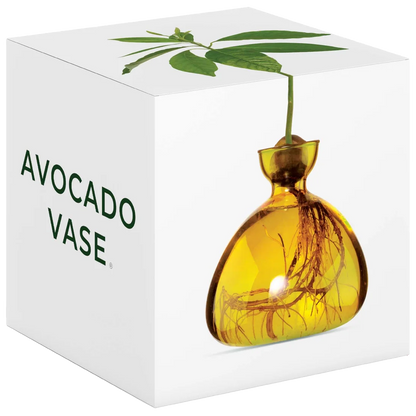 Avocado-shaped vase with roots and leaves on a white box labeled 'Avocado Vase'.