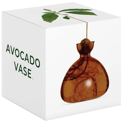 Avocado-shaped vase on a white box with 'Avocado Vase' text