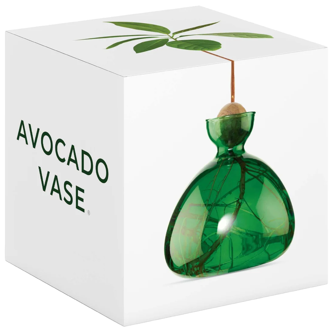 Green avocado-shaped vase on a white box with 'Avocado Vase' text