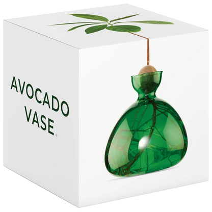 Green avocado-shaped vase on a white box with 'Avocado Vase' text