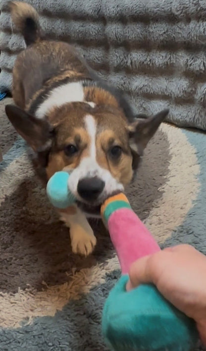"Static Motion" Squeaky Dog Toy