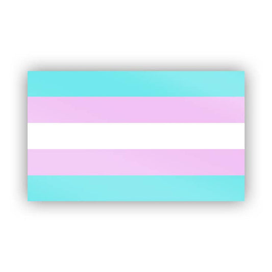 Trans Pride Sticker - Chrysler Museum Shop