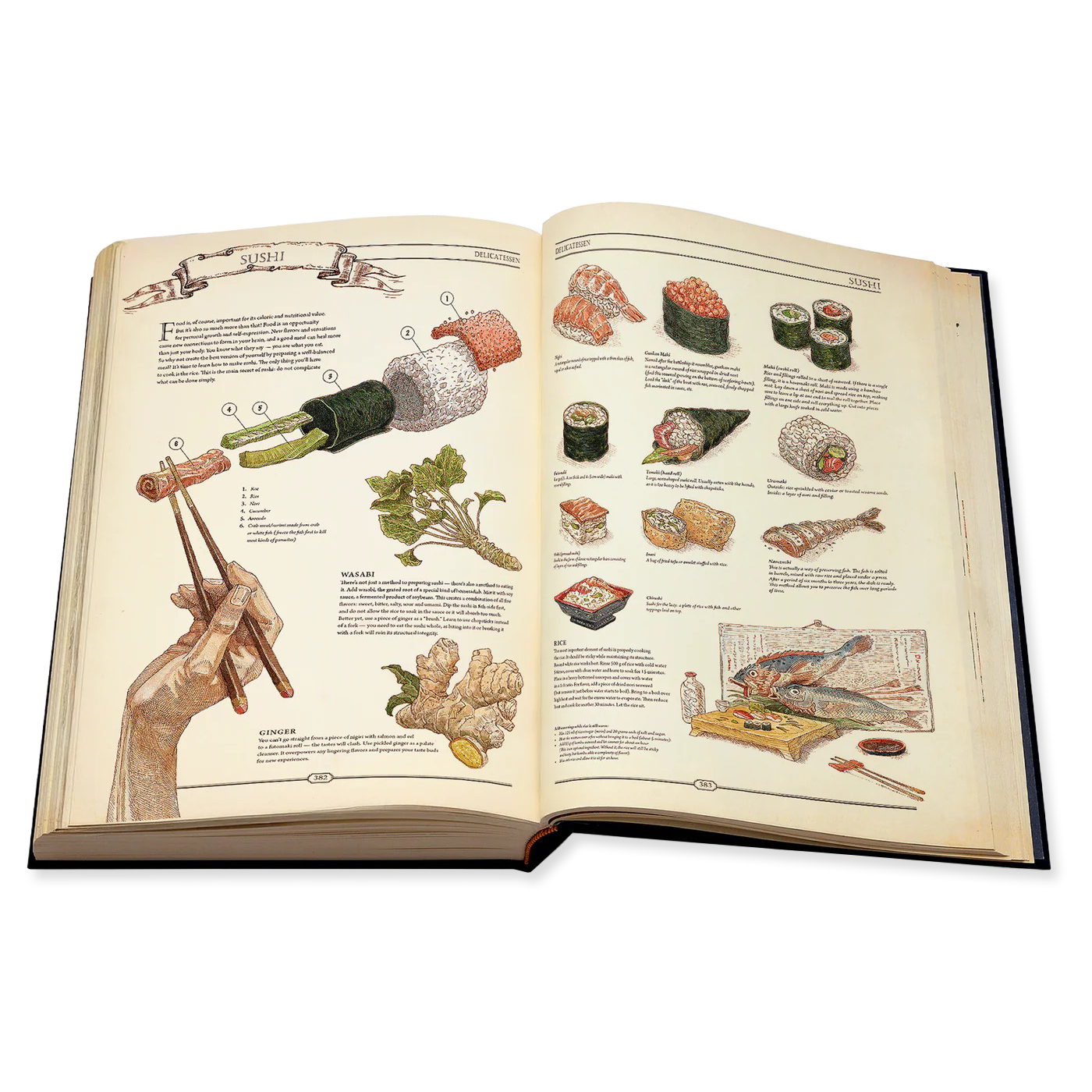 Open book with illustrations of sushi and sushi-making tools on a white background