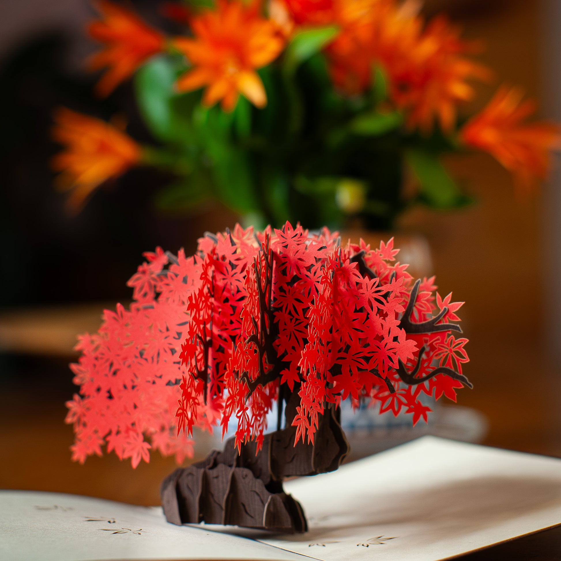 Pop-Up Bonsai Note Card – Chrysler Museum of Art