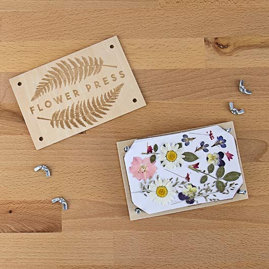 DIY Flower Press Kit - Chrysler Museum Shop