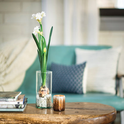 Clear vase with flowers on a wooden table in a living room setting