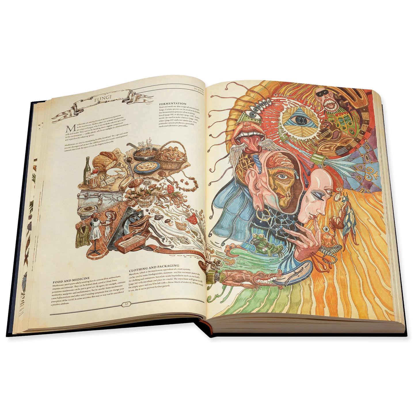 Open book with detailed illustrations on a white background