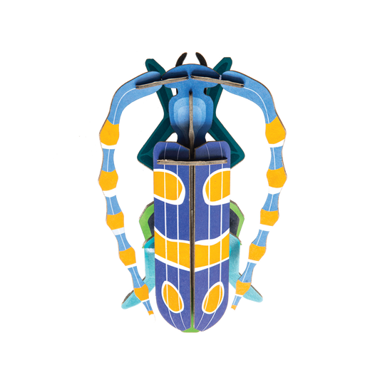 Kleines Insektenset: Rosalia-Käfer 