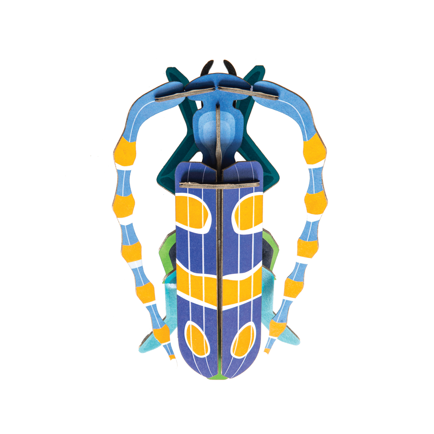 Kleines Insektenset: Rosalia-Käfer 