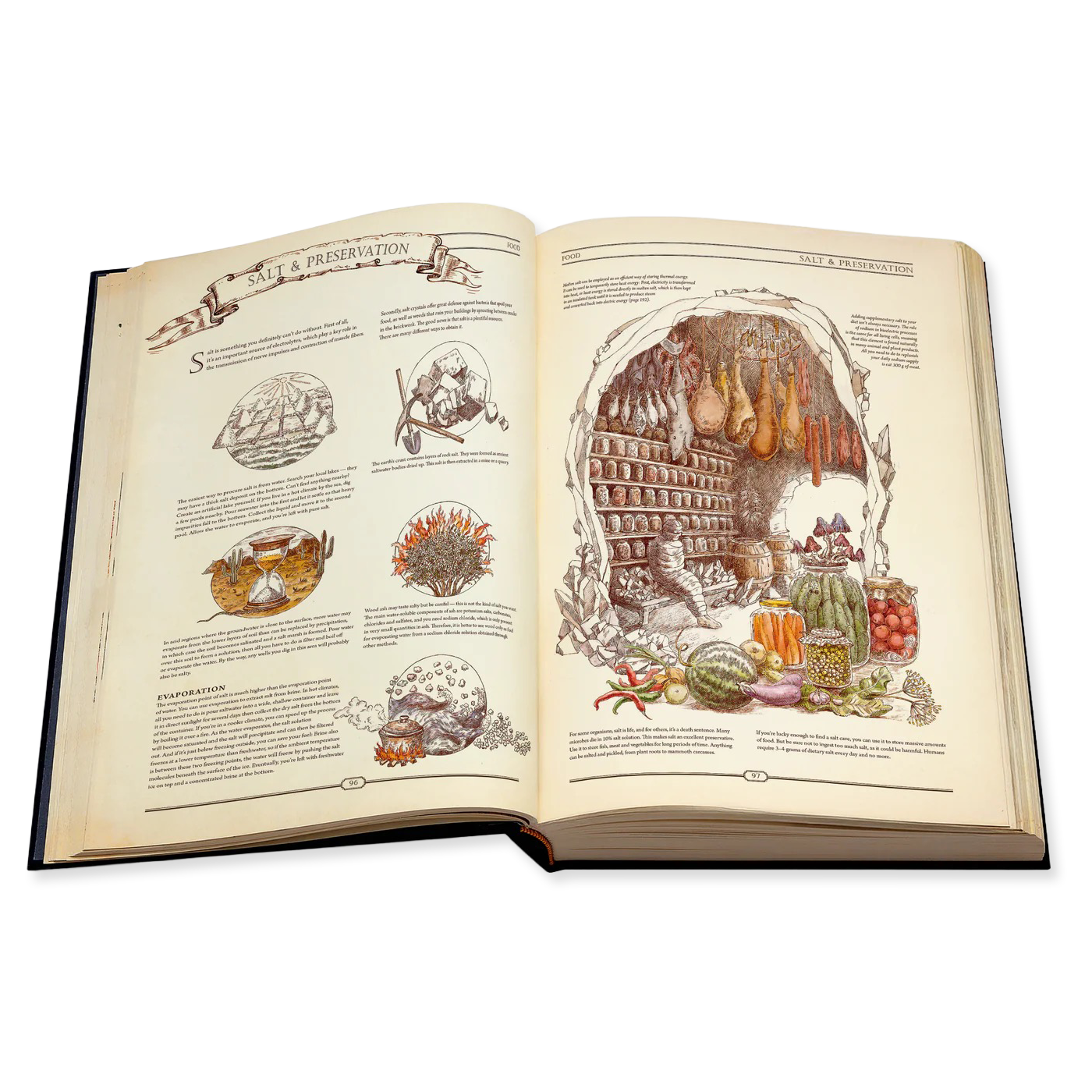 Open book with illustrations on salt and preservation on a white background