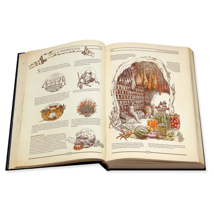 Open book with illustrations on salt and preservation on a white background