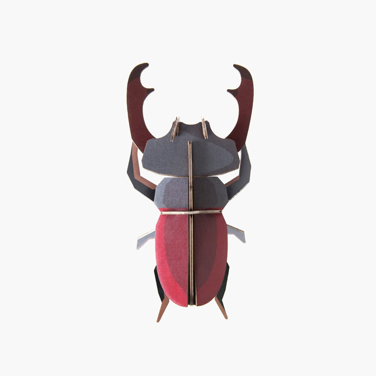 Small Insect Kit: Stag Beetle