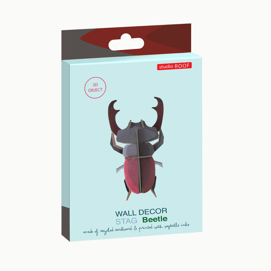 Small Insect Kit: Stag Beetle