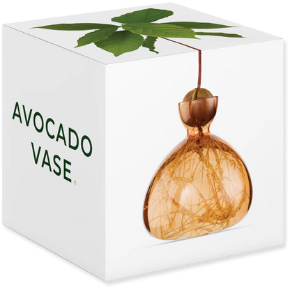 Avocado-shaped vase with green leaves on a white box labeled 'Avocado Vase'.
