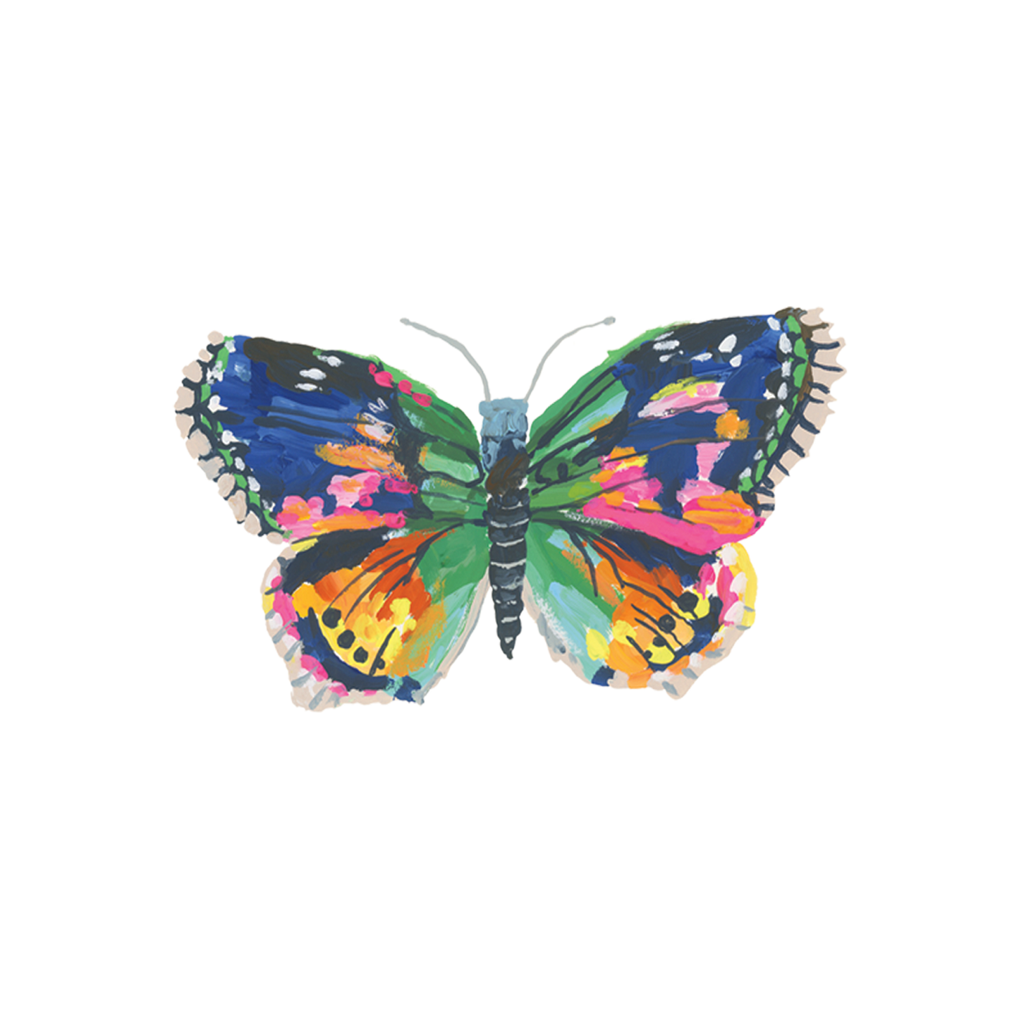 Colorful butterfly illustration on a white background