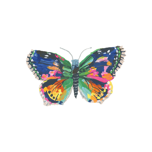 Colorful butterfly illustration on a white background