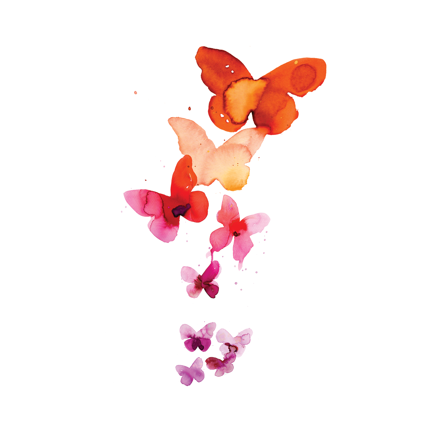 Colorful butterflies on a white background