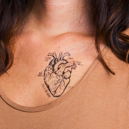 Heart Chart Temporary Tattoos