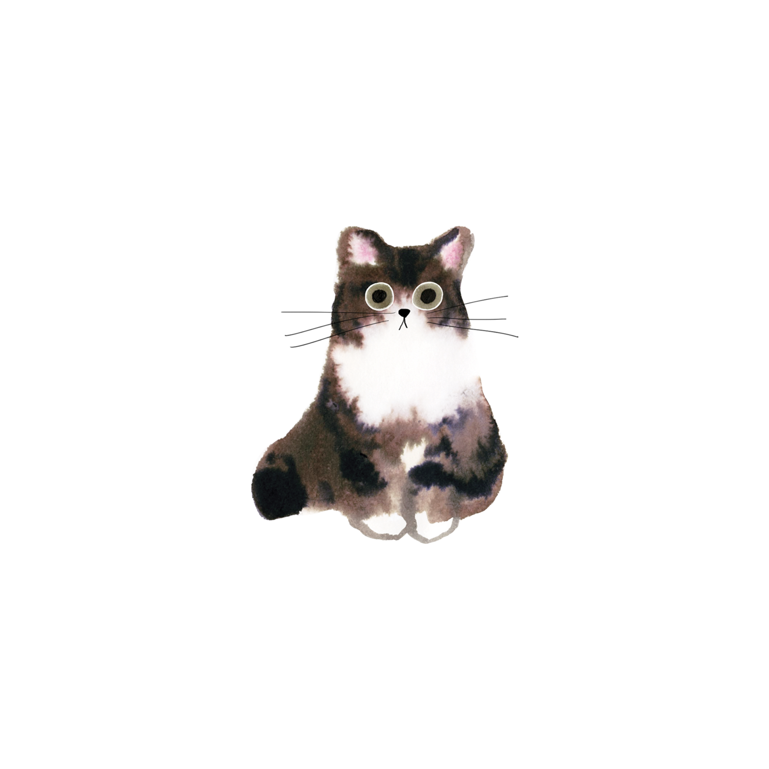 Cartoon cat with googly eyes on a white background