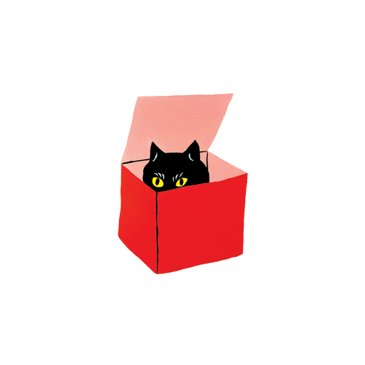 Cat in a Box Temporary Tattoos