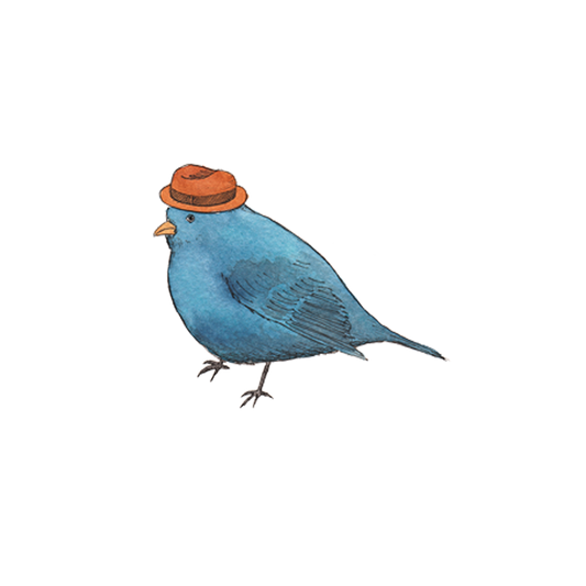 Blue bird wearing a red hat on a white background