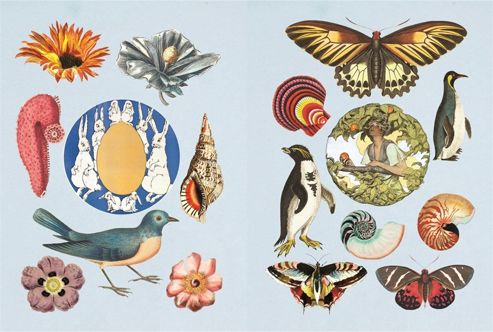 The Antiquarian Sticker Book: Over 1,000 Exquisite Victorian Stickers