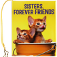 Sisters, Forever Friends Mini Book