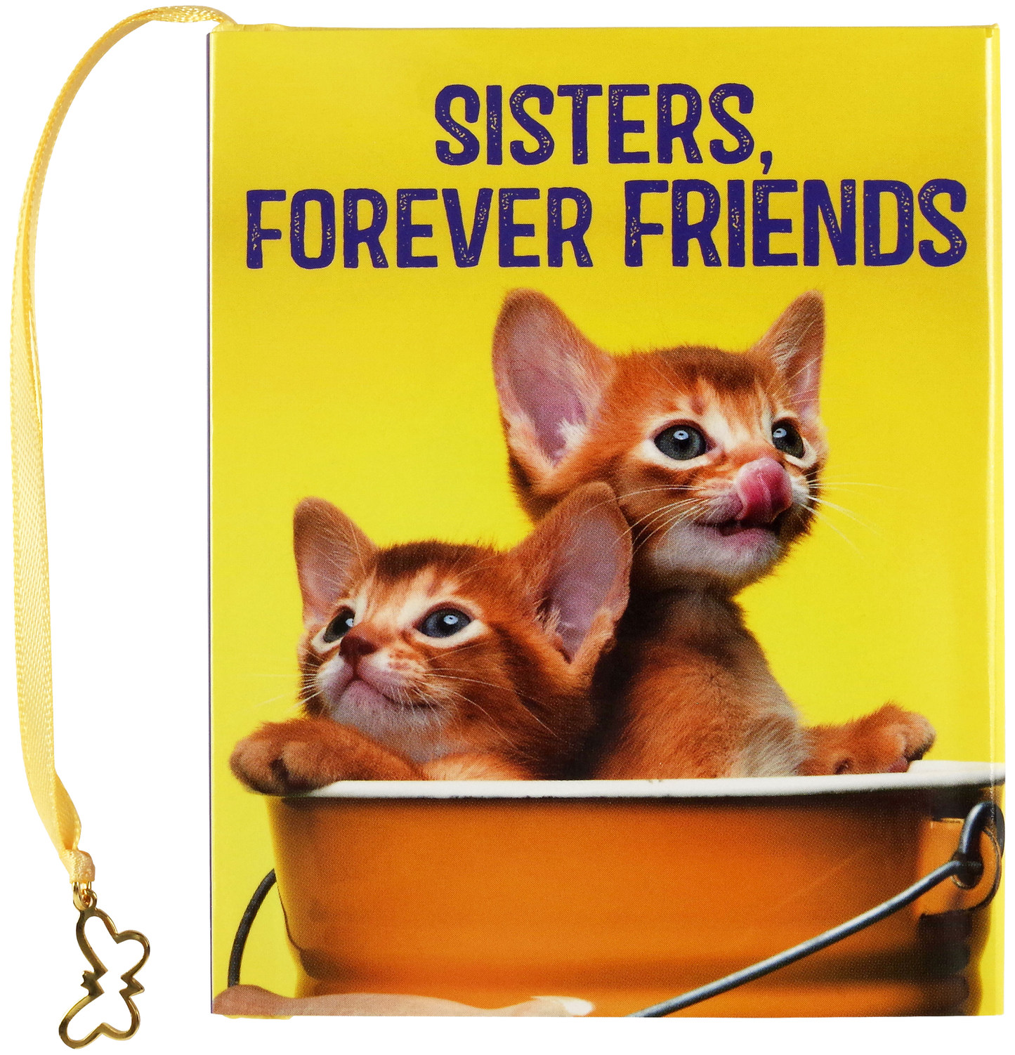 Sisters, Forever Friends Mini Book