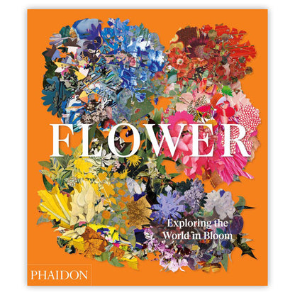 Flor: Explorando el mundo en flor