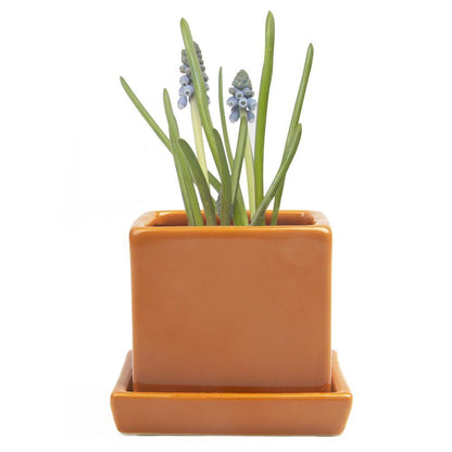 Ceramic Cube & Saucer Plant Pot