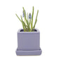 Cube & Saucer Ceramic Plant Pot (Periwinkle)
