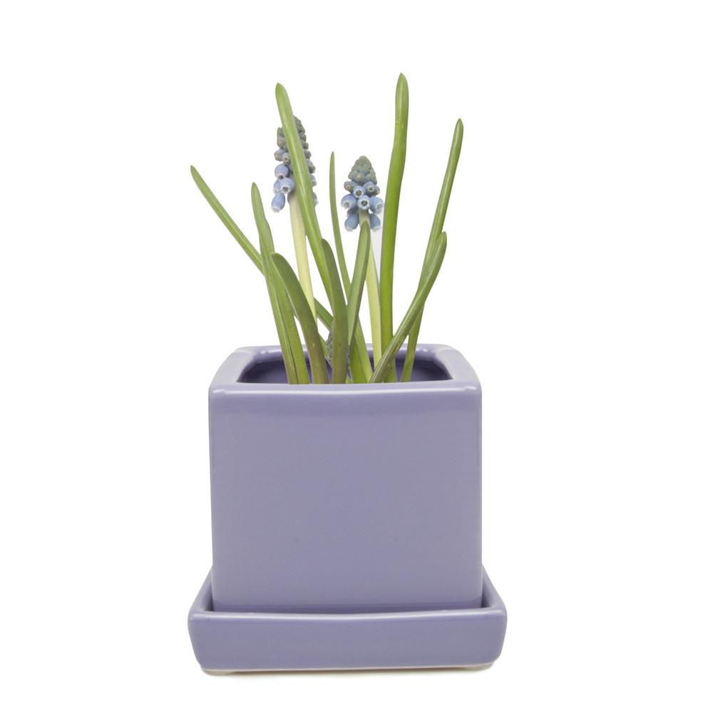 Cube & Saucer Ceramic Plant Pot (Periwinkle)