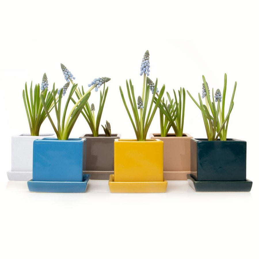 Ceramic Cube & Saucer Plant Pot